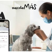 ¿Tu mascota aún no tiene un veterinario de cabecera?