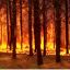 1403_incendios