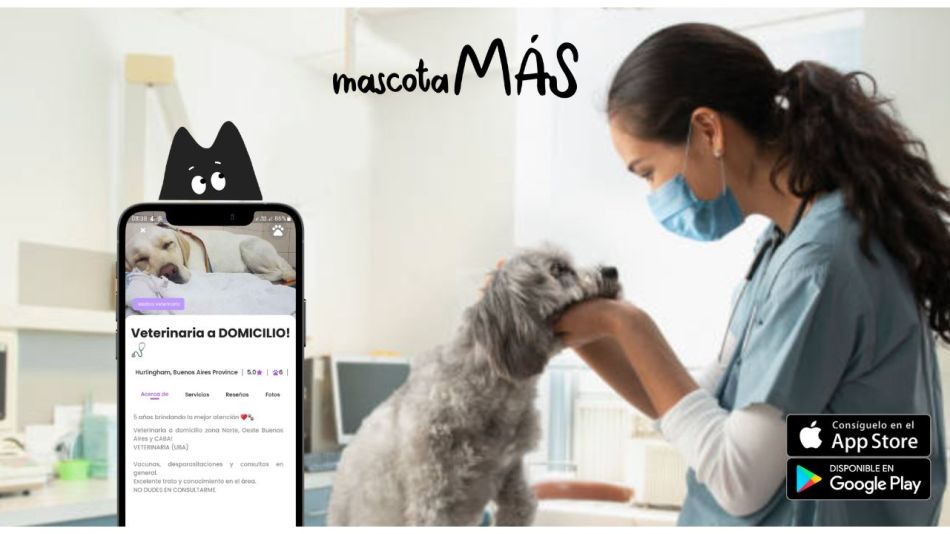 ¿Tu mascota aún no tiene un veterinario de cabecera?