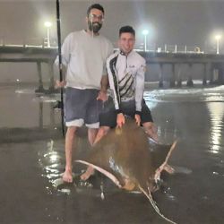 Luego de una ardua y larga batalla en el Club de Pesca de Mar del Plata, un pescador deportivo logró una captura soñada: un chucho de casi 60 kilos de peso.