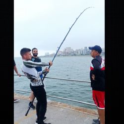 Luego de una ardua y larga batalla en el Club de Pesca de Mar del Plata, un pescador deportivo logró una captura soñada: un chucho de casi 60 kilos de peso.
