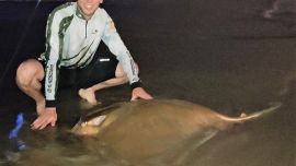 Luego de una ardua y larga batalla en el Club de Pesca de Mar del Plata, un pescador deportivo logró una captura soñada: un chucho de casi 60 kilos de peso.