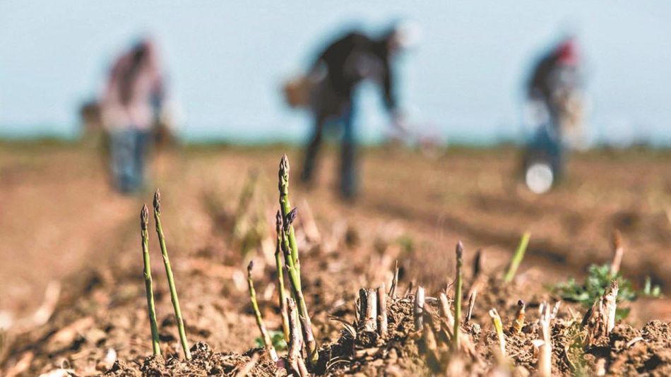 Impacto de la Sequía en Productores bonaerenses