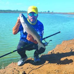 Pescamos lisas de tres kilos a primera hora en Villa Benita.