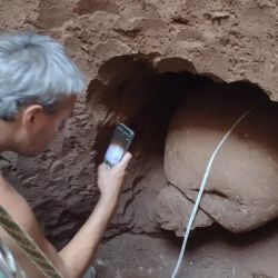 Los restos fósiles fueron encontrados por un grupo de albañiles en el fondo de un pozo ciego que estaban haciendo en el marco de un plan de 8 viviendas 