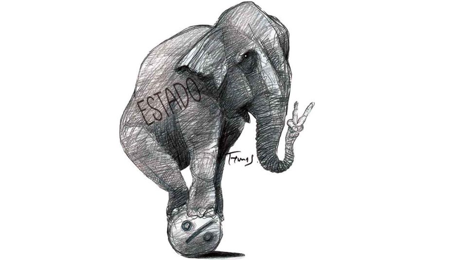 20230319_elefante_estado_temes_g