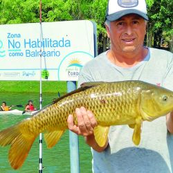 Nico Barros (Carpeando Neuquén) conoce muy bien los lugares para pescar esta especie en los dos ríos de la capital patagónica. Pesca y guía a mosqueros o a aquellos prefieran la carnada natural.