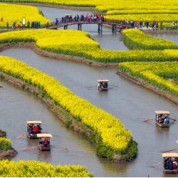 Esta foto muestra a personas observando flores de colza en flor en el área escénica de Xinghua Qianduo en Taizhou, en la provincia oriental china de Jiangsu. | Foto:AFP