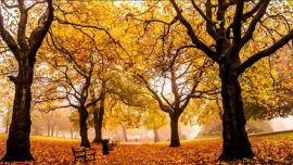 El inicio del otoño no siempre tiene lugar el 21 de marzo.