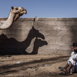 Un pastor descansa en el mercado de ganado de Tinouesh, en las afueras de Nuakchot, Mauritania. | Foto:MARCO LONGARI / AFP