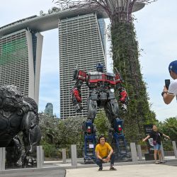 Visitantes se fotografían frente a las estatuas a tamaño real de los personajes de Transformers Optimus Prime y Optimus Primal expuestas como parte de una gira mundial en Garden by the Bay en Singapur. | Foto:ROSLAN RAHMAN / AFP