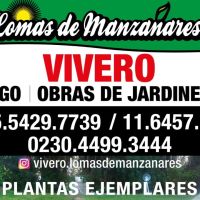 VIVERO LOMAS DE MANZANARES PRESENTA LOS QUERCUS SU NUEVA Y EXCLUSIVA PROPUESTA PARA LO AMANTES DE LAS PLANTAS