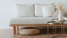 3 plantas para fomentar la abundancia según el Feng Shui
