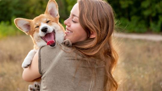 Los perros distinguen las buenas y malas intenciones de las personas