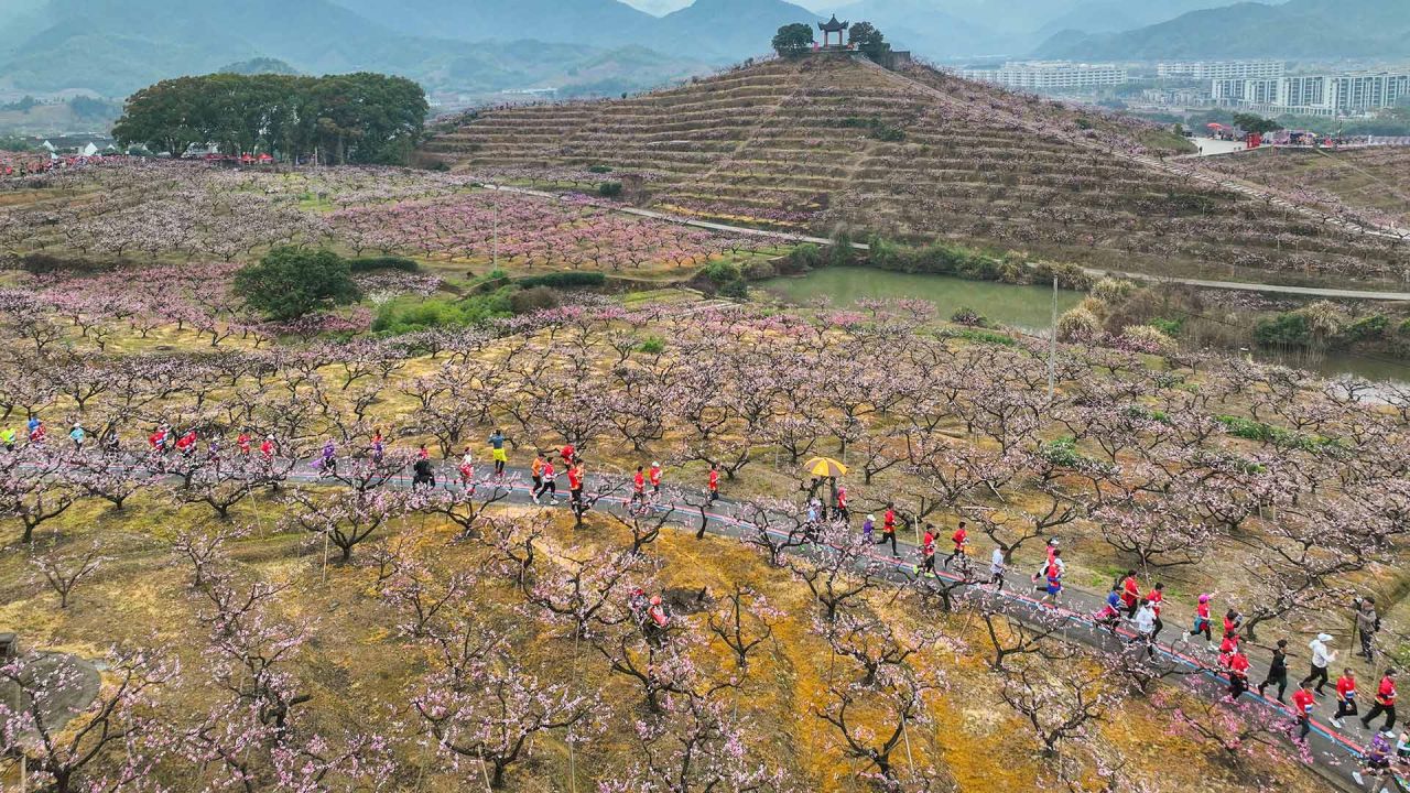 Esta foto muestra a corredores participando en el maratón de Fenghua entre flores de melocotón en Ningbo, en la provincia oriental china de Zhejiang. | Foto:AFP