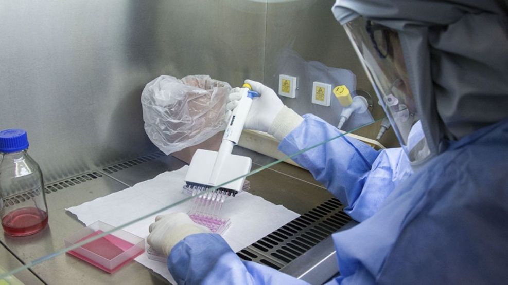 Inquietud por el aumento de laboratorios que esatudian virus letales