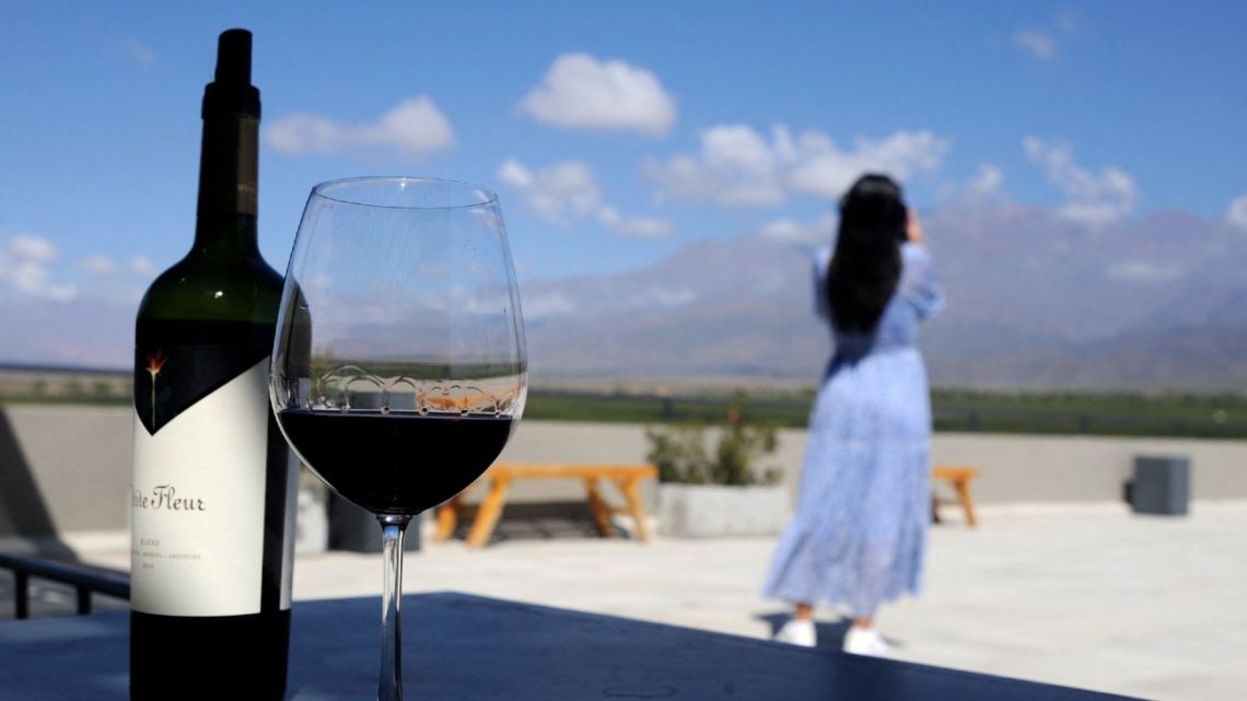 Picture of a bottle of wine produced at the Monteviejo winery, at the foot of the Andes mountains in Vista Flores, in the Uco Valley, department of Tunuyan, Mendoza.