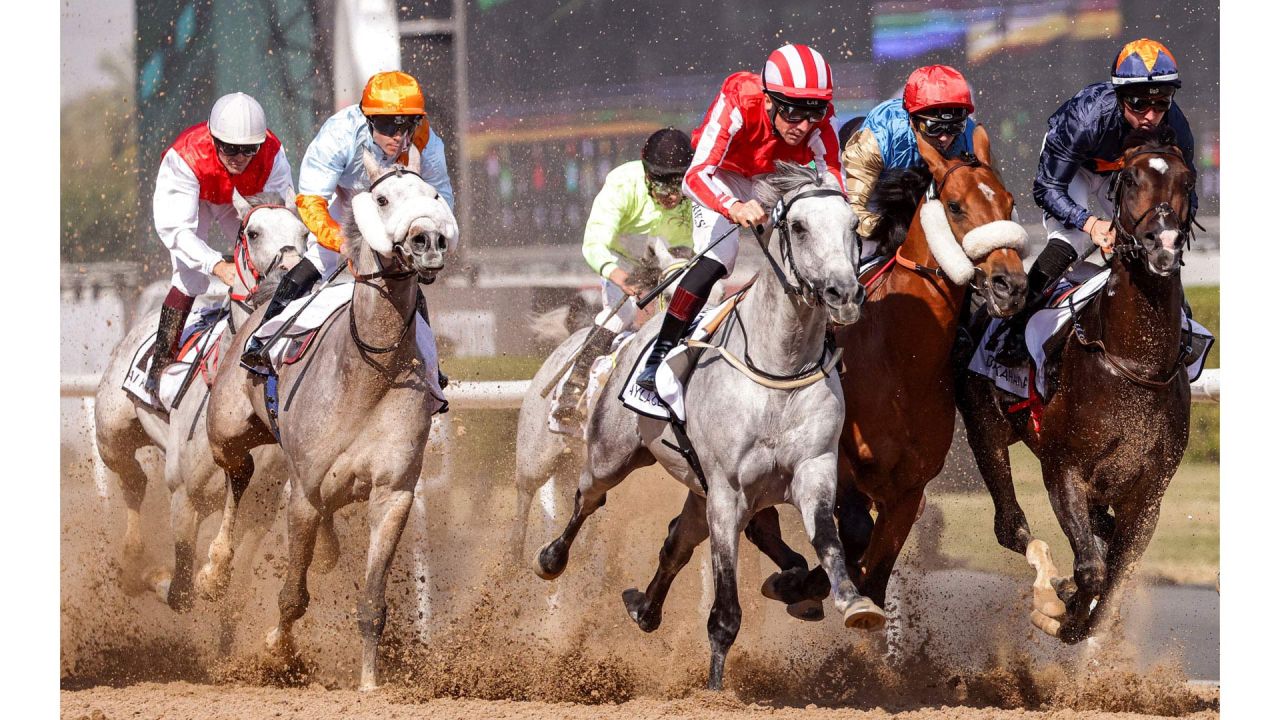 Los jinetes compiten en la carrera de caballos de la Copa del Mundo de Dubai en el hipódromo de Meydan, en Dubai. | Foto:KARIM SAHIB / AFP