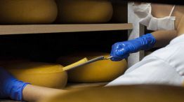 Día Mundial del queso 20230327
