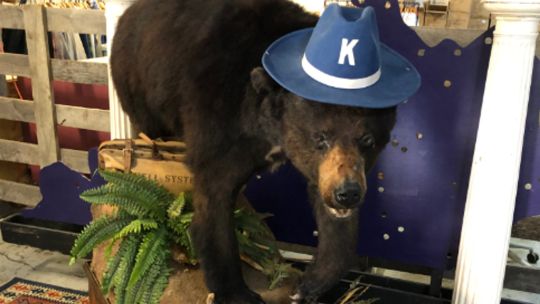 Pablo Escobear, el oso intoxicado 20230327