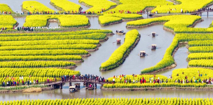 Esta foto muestra a personas observando flores de colza en flor en el área escénica de Xinghua Qianduo en Taizhou, en la provincia oriental china de Jiangsu.