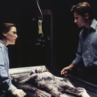“Los expedientes secretos X” tendrá su nueva versión: "Contará un elenco diverso"