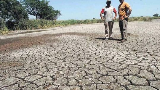 Alerta máxima: por la sequía ya se secaron 34.000 lagunas en Corrientes