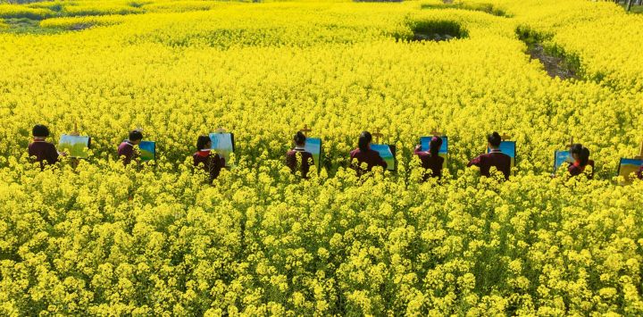 Estudiantes hacen dibujos entre flores de colza en Haian, ciudad de Nantong, en la provincia oriental china de Jiangsu.