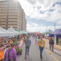 En esta Semana Santa, San Bernardo se prepara para recibir a los visitantes que podrán disfrutar de la 2º Fiesta de Pesca Artesanal Costera, que incluye un importante torneo de pesca deportiva.