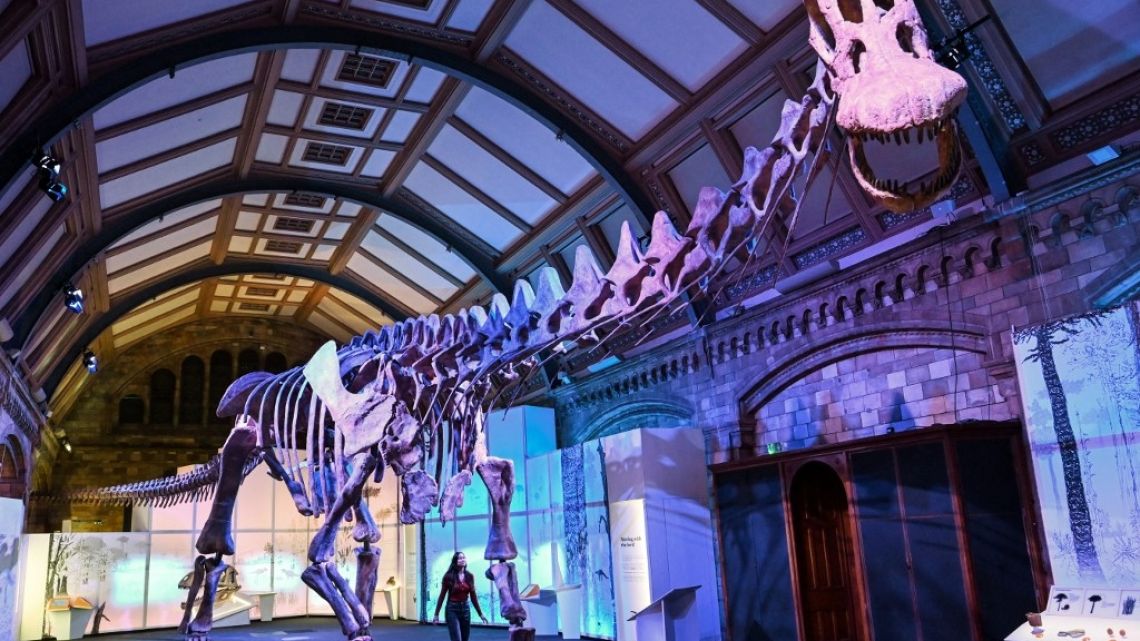 A photograph taken on March 28, 2023 shows the Patagotitan mayorum, the most complete giant dinosaur ever discovered, displayed during the press preview of the exhibition "Titanosaur: Life as the biggest dinosaur" at the Natural History Museum, in London.