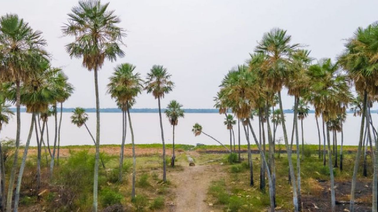 Te invitamos a recorrer el flamante Parque Nacional Laguna El