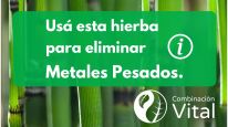 Metales pesados ingresan a nuestro organismo a través del agua, del aire y de los alimentos. ¿Cómo eliminarlos?