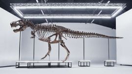 Trinity mide 11,6 metros de largo y 4,5 metros de alto.