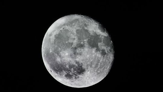 Luna llena del 27 de noviembre: así influye la Luna del Castor en tu signo
