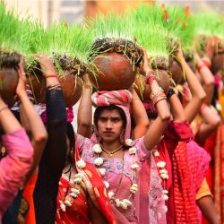 Devotos llevan plantas de arroz como ritual durante una procesión religiosa para celebrar el festival anual hindú de Ram Navami, que marca el aniversario del nacimiento del dios hindú Rama, en Jabalpur, India. | Foto:UMA SHANKAR MISHRA / AFP