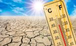 Los últimos 9 años fueron los más calurosos de la historia de la Tierra