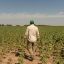 Argentina debuts ‘Dollar Malbec’ to aid exports amid drought