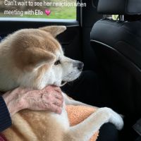 Daniela Christiansson y Maxi López ansiosos por ver la reacción de su mascota Kika cuando vea a Elle