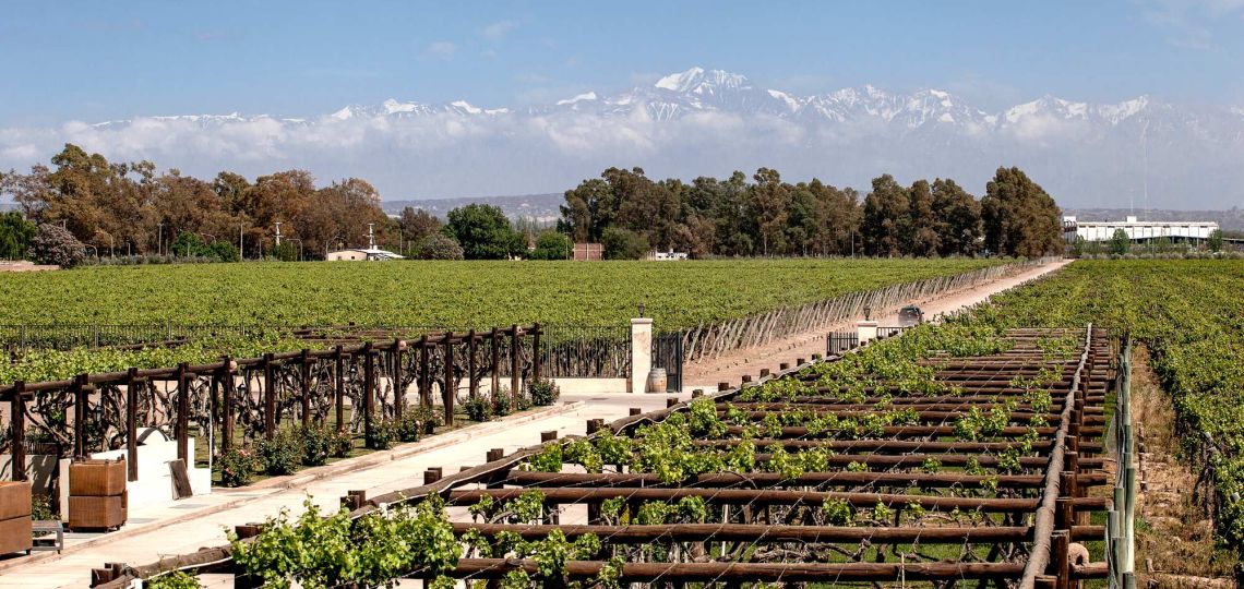 Bodegas: opciones en Mendoza para visitar el fin de semana largo