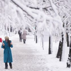 Peatones caminan bajo árboles cubiertos de nieve tras una intensa nevada en el centro de Pristina, Kosovo. | Foto:ARMEND NIMANI / AFP