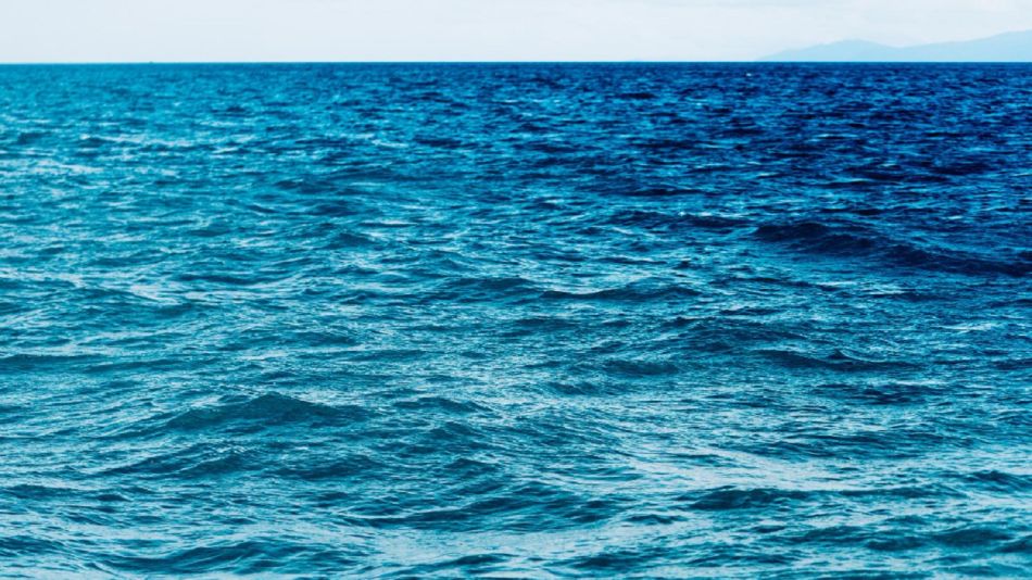 La ONU aprobó un histórico tratado internacional para la protección de los océanos