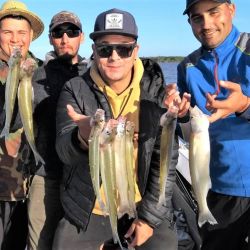 El pejerrey apareció en la costa de Palo Blanco, Berisso, y coronó una agradable jornada de pesca.