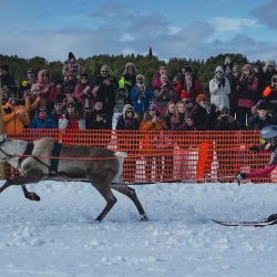 Espectadores observan a un reno y a un jinete competir en las finales de la PoroCup, una carrera de renos finlandesa en el lago helado de Inari, Finlandia. | Foto:Alessandro Rampazzo / AFP