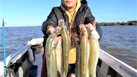 El pejerrey apareció en la costa de Palo Blanco, Berisso, y coronó una agradable jornada de pesca.