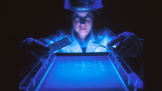 Día de la mujer y la niña en la ciencia: desafíos para una mayor equidad