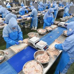 Trabajadores procesan pollo en una fábrica de alimentos en Suqian, en la provincia oriental china de Jiangsu. | Foto:AFP