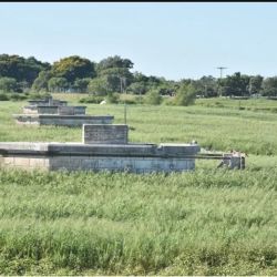 Desde la Costanera se puede observar claramente cómo estos impresionantes embalsados se deslizan hacia la desembocadura de la laguna Setúbal en el río Santa Fe 