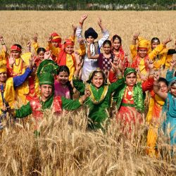 Escolares posan mientras interpretan la danza folclórica panyabí "Bhangra" antes del festival Baisakhi en un campo de trigo a las afueras de Amritsar. | Foto:Narinder Nanu / AFP