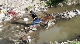 Alerta en Sudamérica por la contaminación con plomo