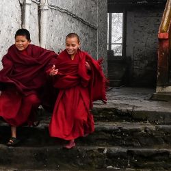 Jóvenes monjes budistas juegan entre rezos en el monasterio de Tawang, en la ciudad de Tawang, en el estado nororiental indio de Arunachal Pradesh. | Foto:ARUN SANKAR / AFP